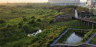 海綿城市.png 海(hǎi)綿城市.png