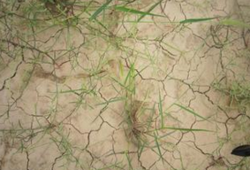 水(shuǐ)資源(yuán)緊缺.png 水資源緊缺.png