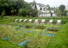 農(nóng)村生活(huó)汙水處理.png 農村生活汙水處理.png